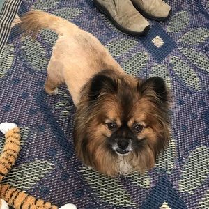 Meet your Posher, Lori